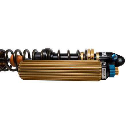 41-338872_6.jpg
