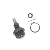 Lower Arm Ball Joints