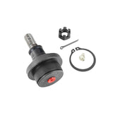 Lower Arm Ball Joints