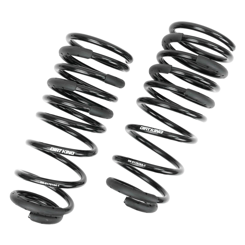 +1" Rear Springs