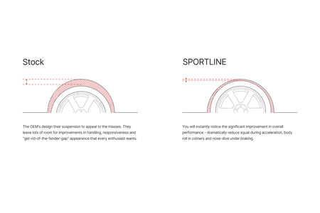 sportline-illustration.jpg